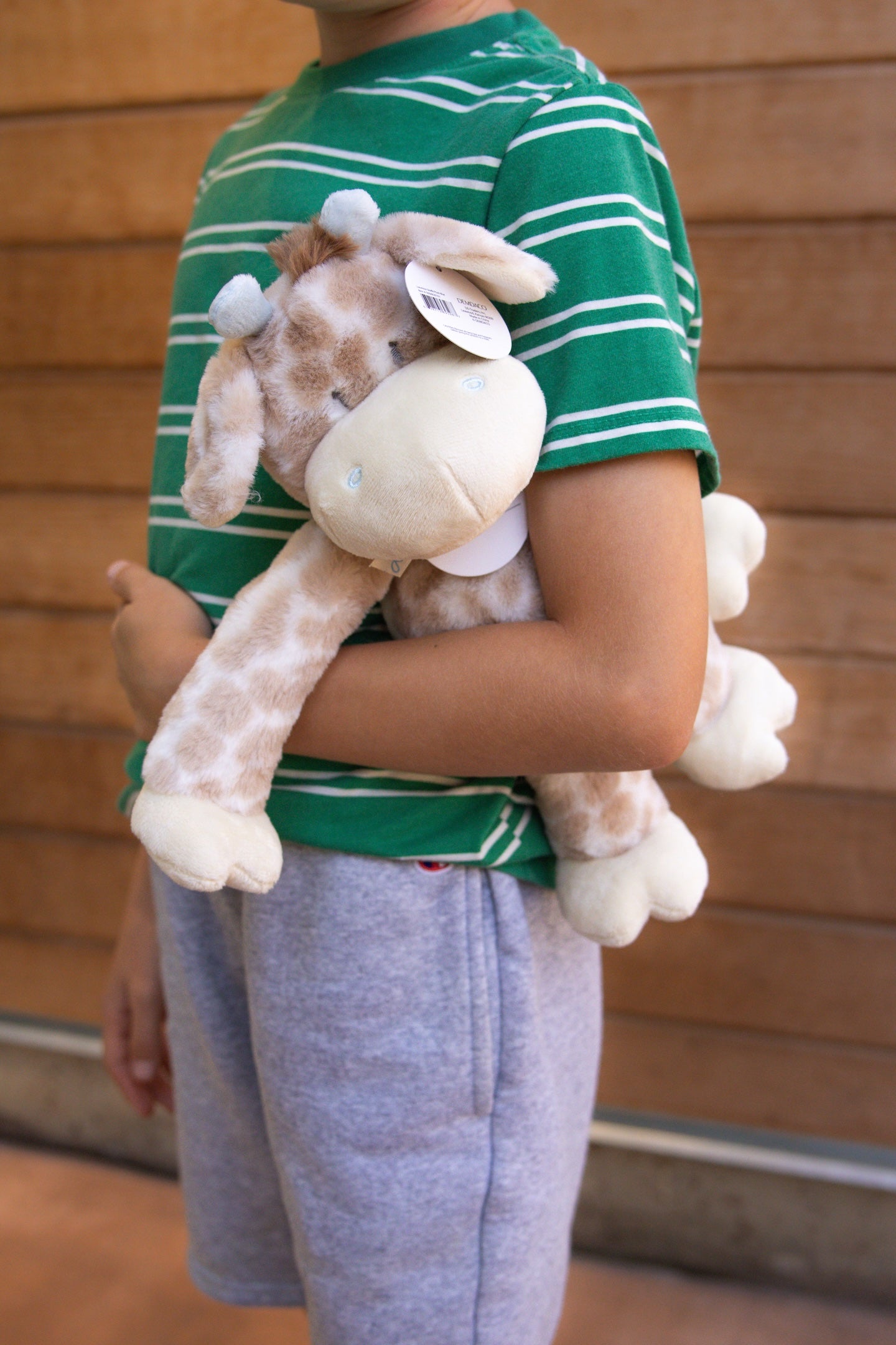 Giraffe Plush - Large